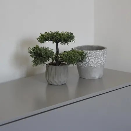 Dimora Due Galli Apartment
